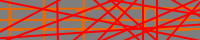 lei_banner.png